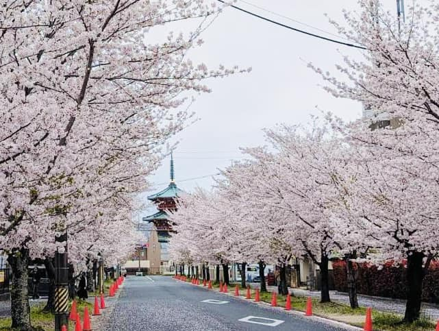 豊川市へ出たついでに🌸