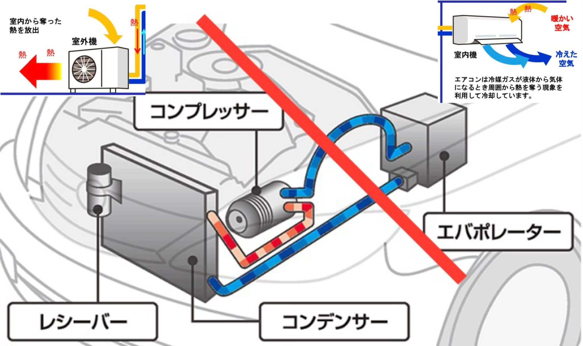 まだまだ暑い日が続きますね🥵