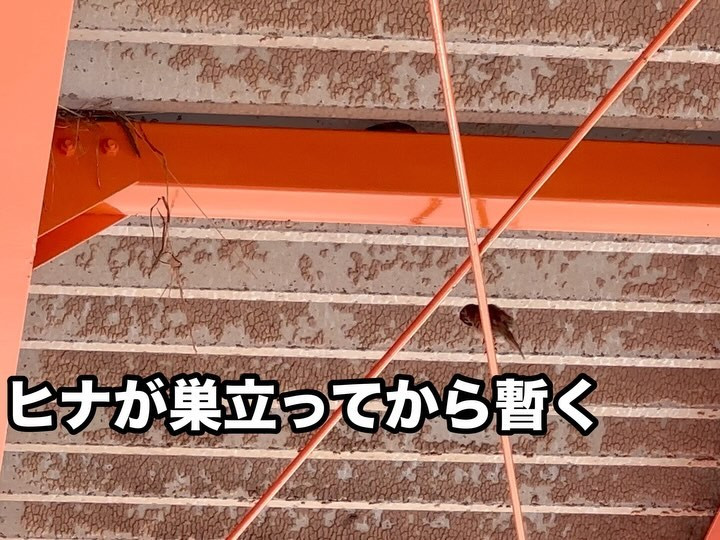 朝イチから車検場へ🚗💨