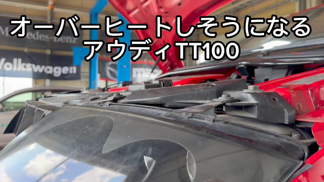 塩からトンボが飛んでいます♪