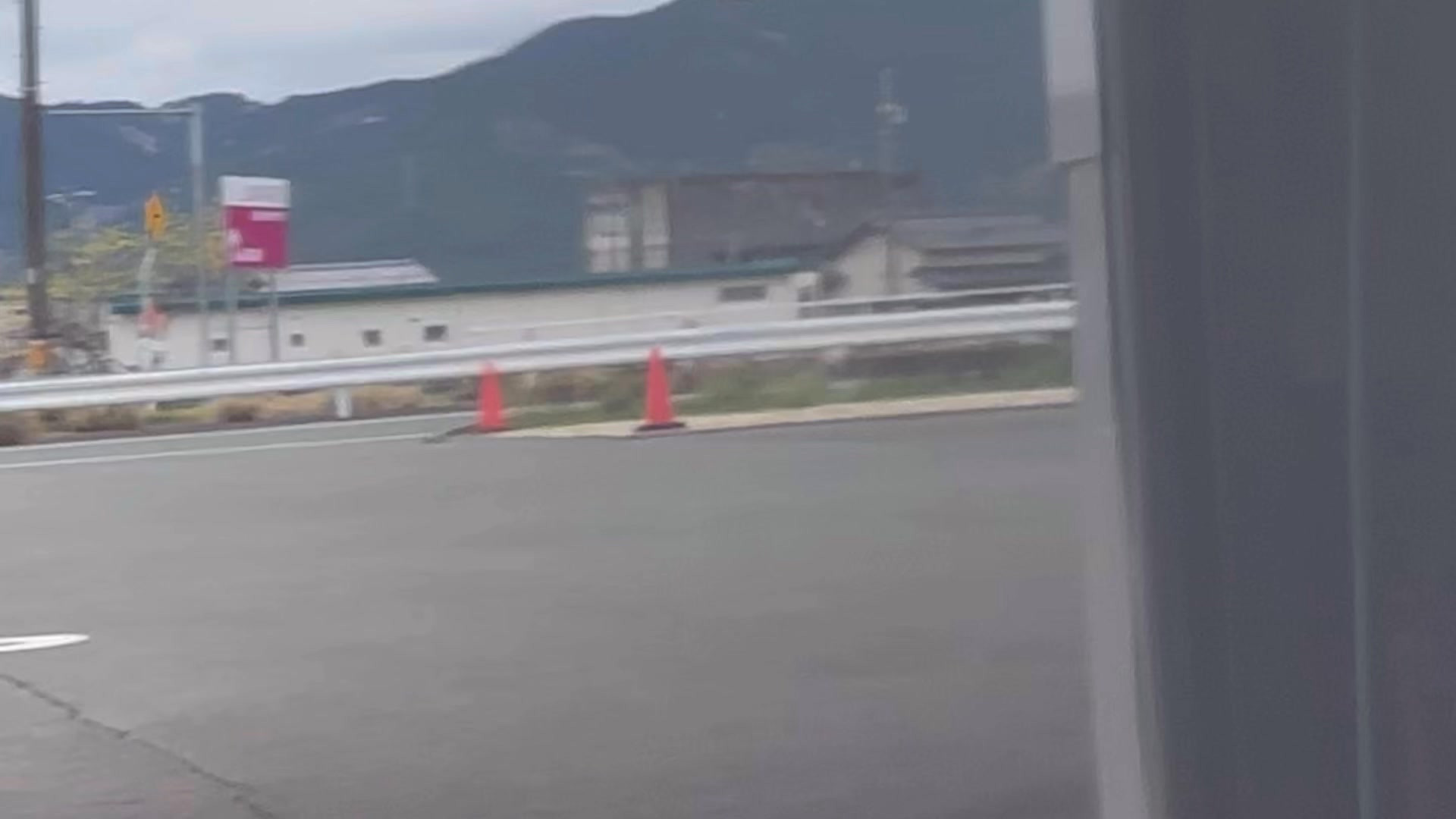 ピンボケ写真ではありません😁