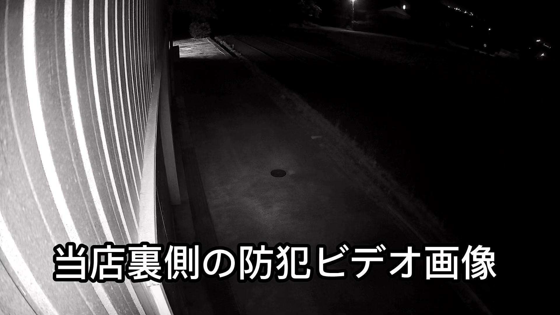 珍客のご来店映像😆